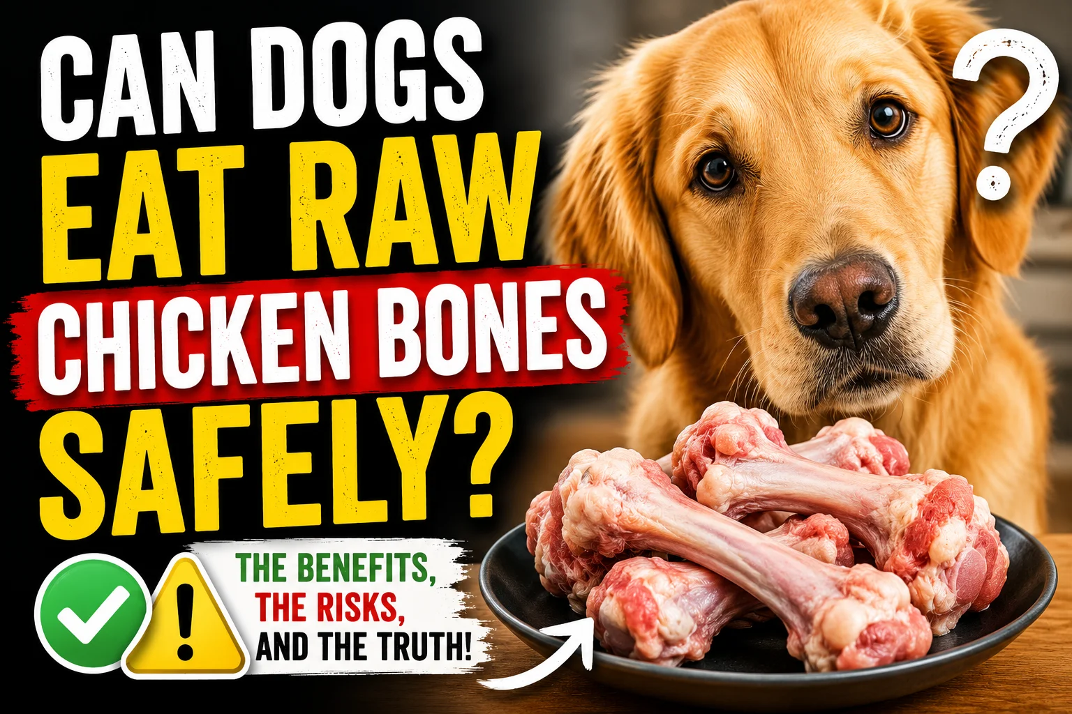 Can Dogs Eat Raw Chicken Bones Safely?