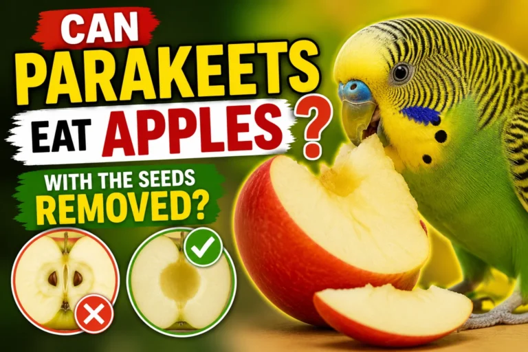 Can Parakeets Eat Apples with the Seeds Removed?