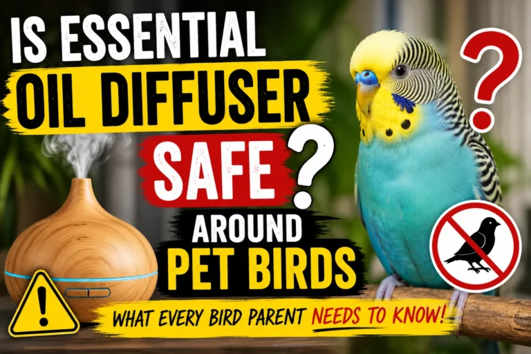 Is an Essential Oil Diffuser Safe Around Pet Birds?