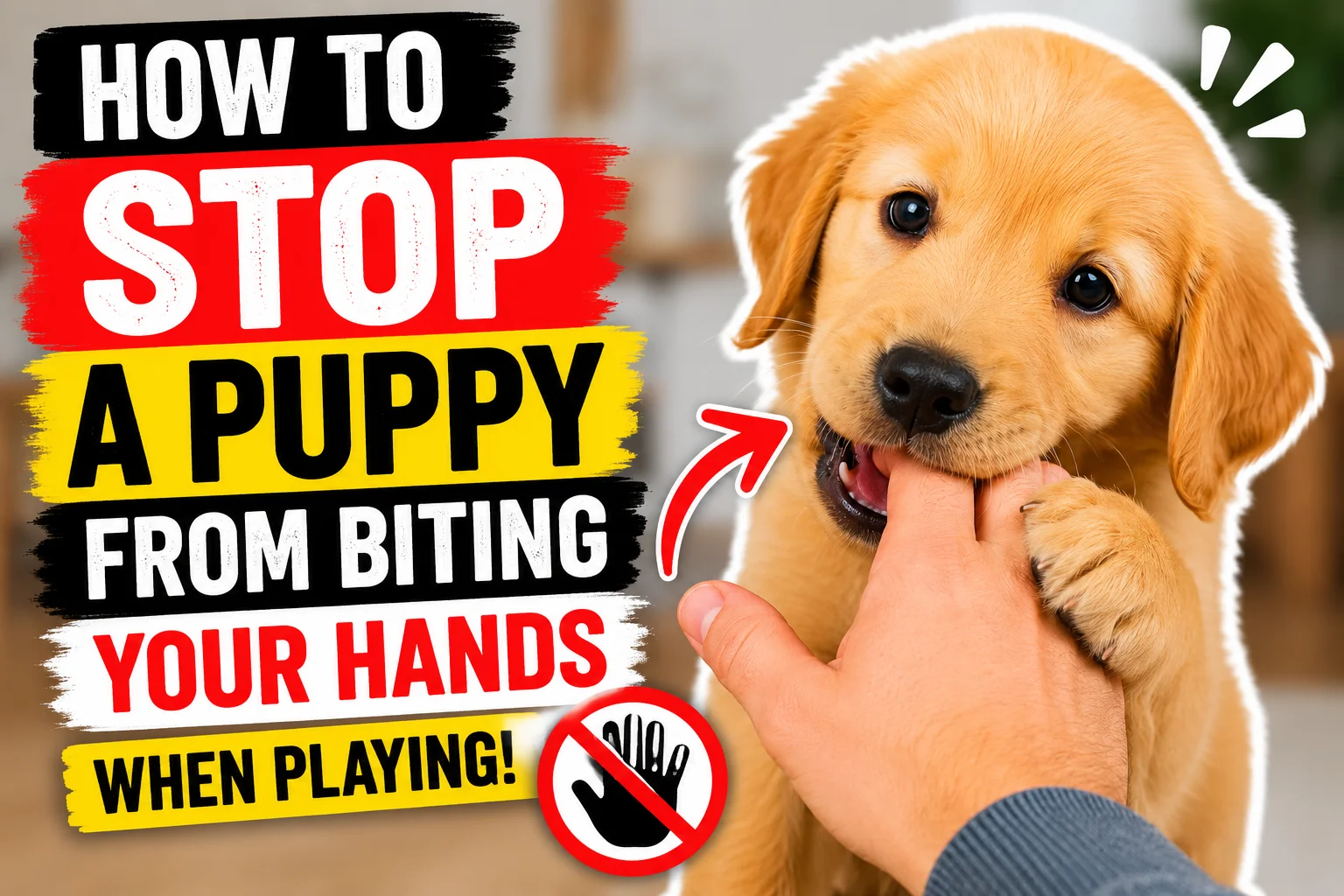 Stop a Puppy From Biting Your Hands When Playing