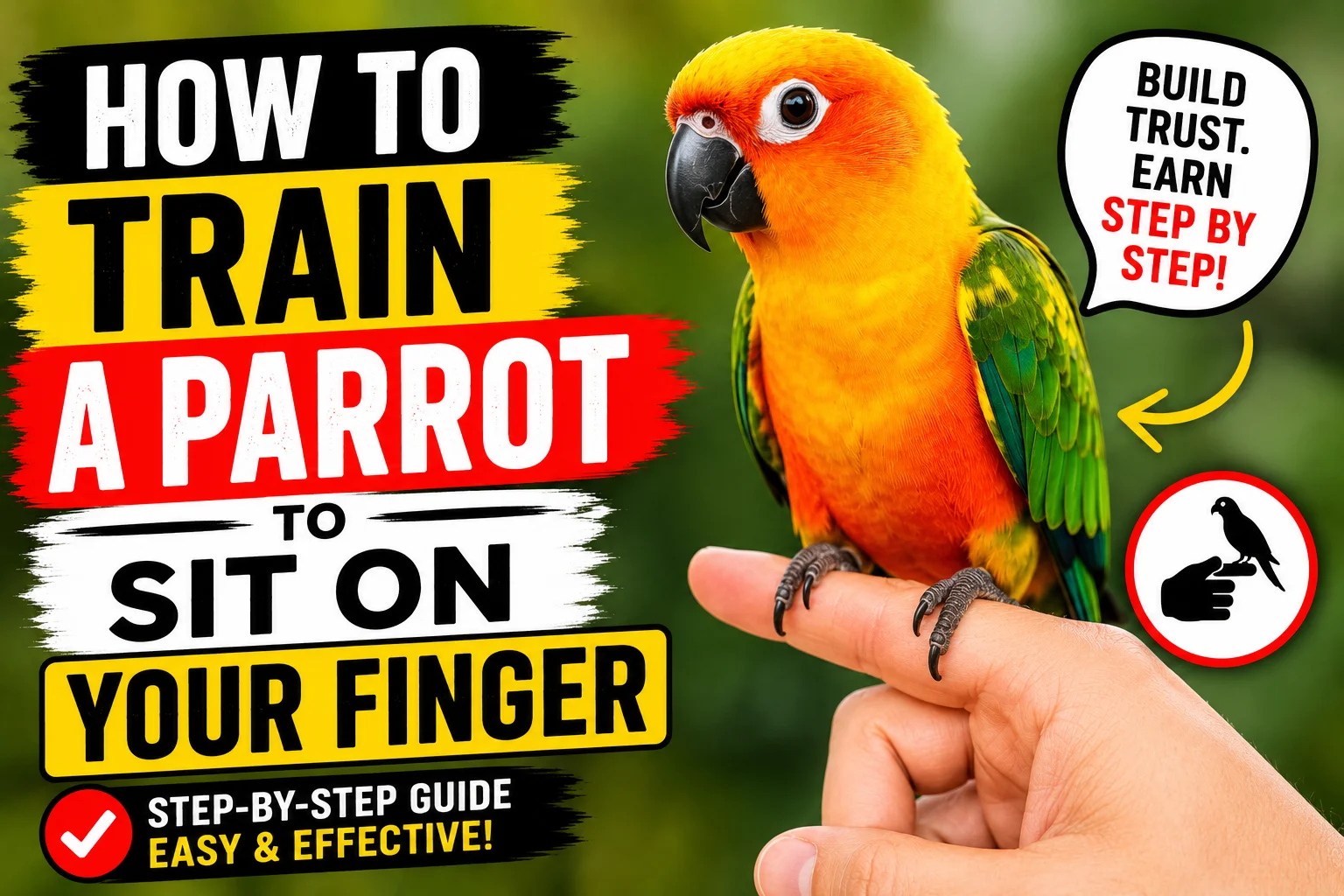 Train a Parrot to Sit on Your Finger
