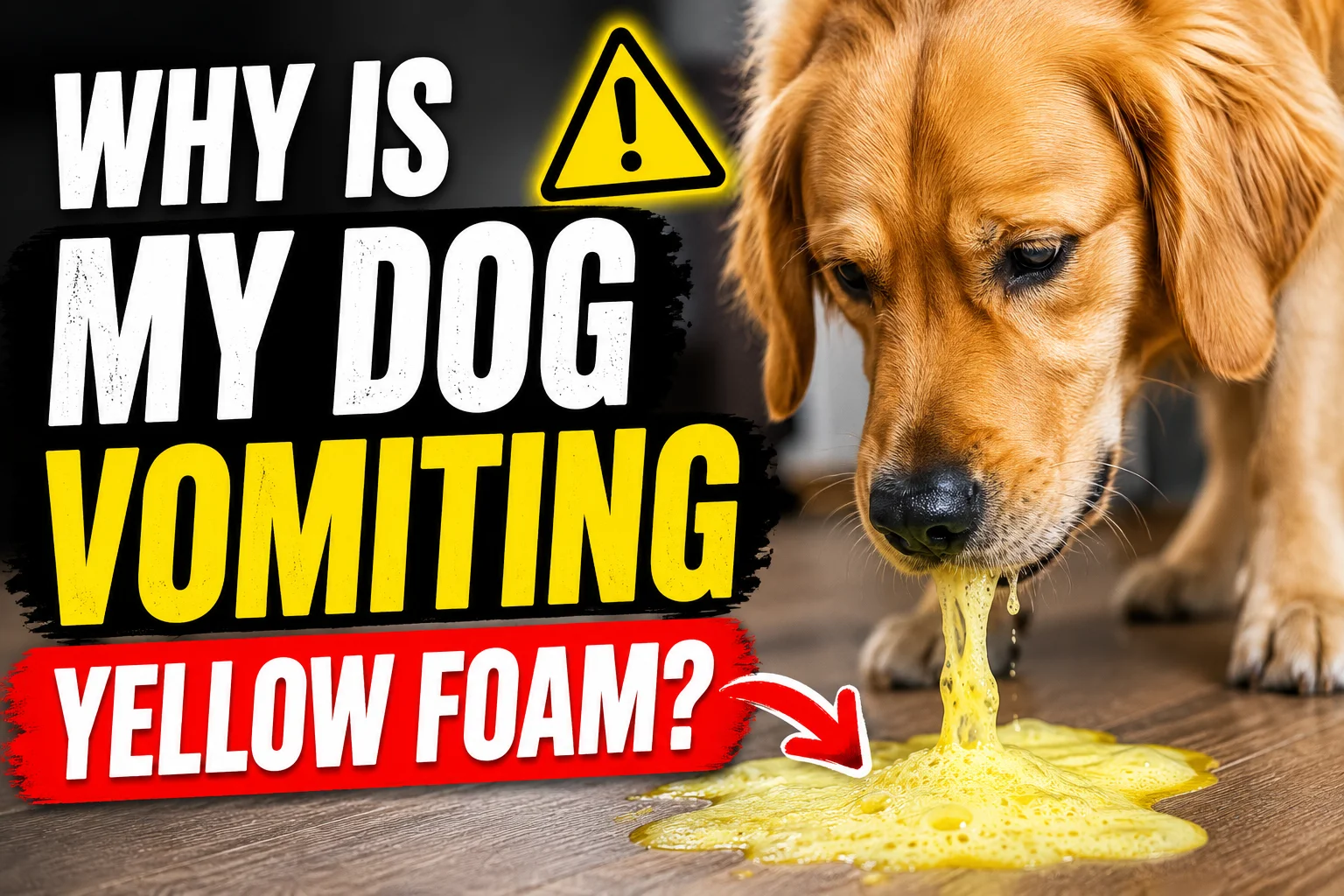 Why Is My Dog Vomiting Yellow Foam?