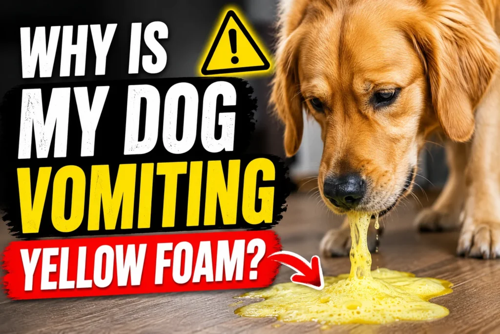 Why Is My Dog Vomiting Yellow Foam?