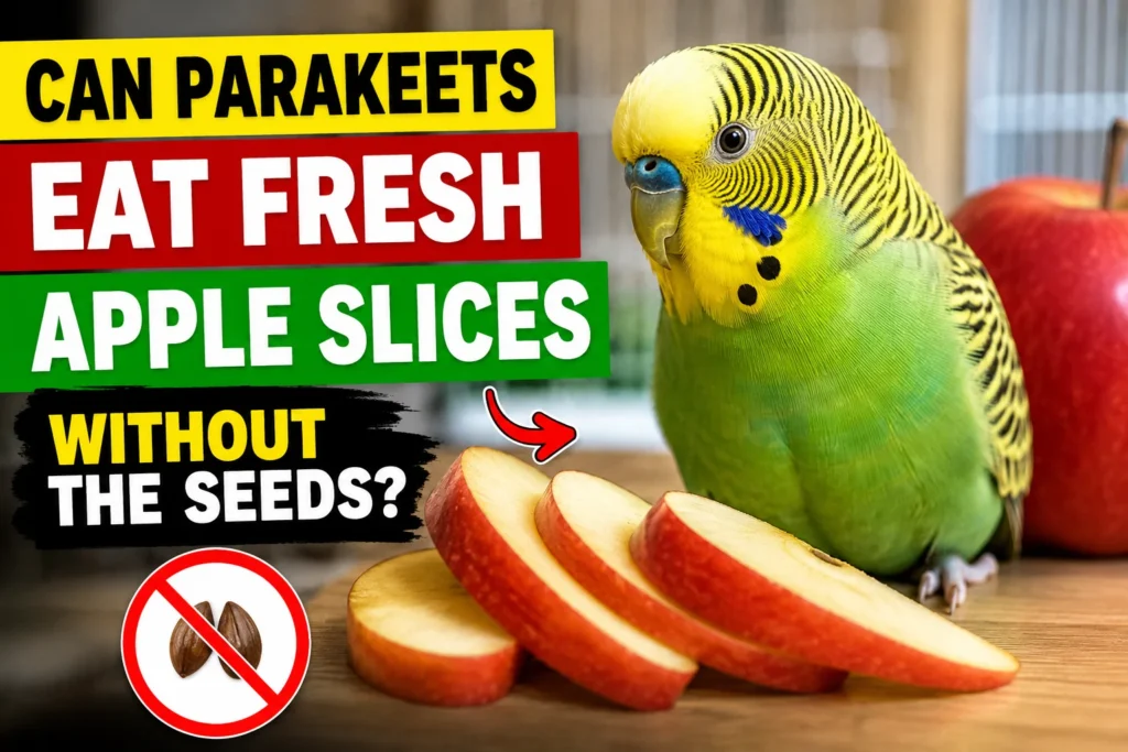 Can Parakeets Eat Fresh Apple Slices Without the Seeds?